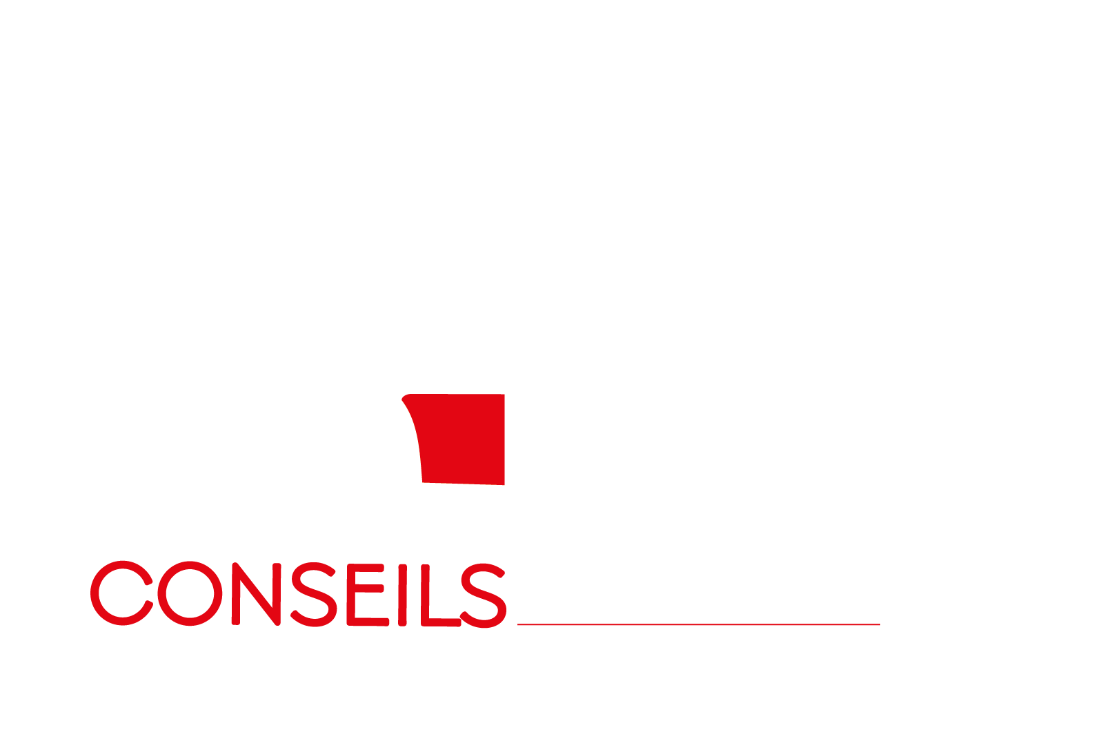 PDT Conseils